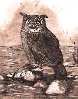 great horned owl